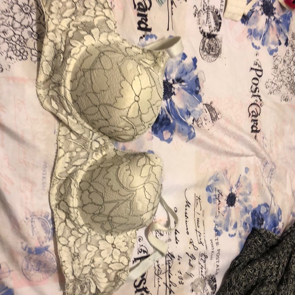 Push up bra by Daisy Fuentes - Picture 2 of 8